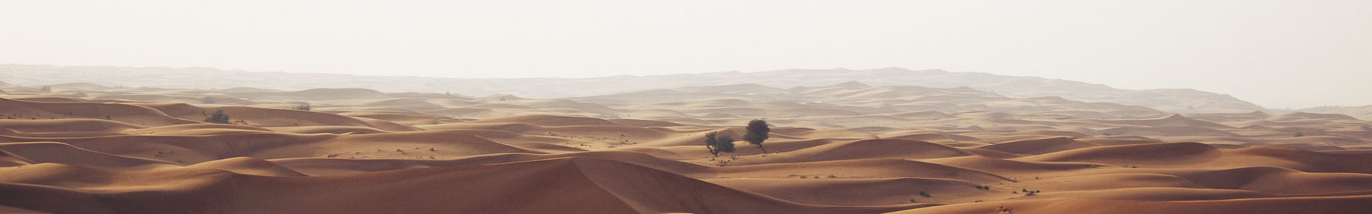 ݺƻż޹˾